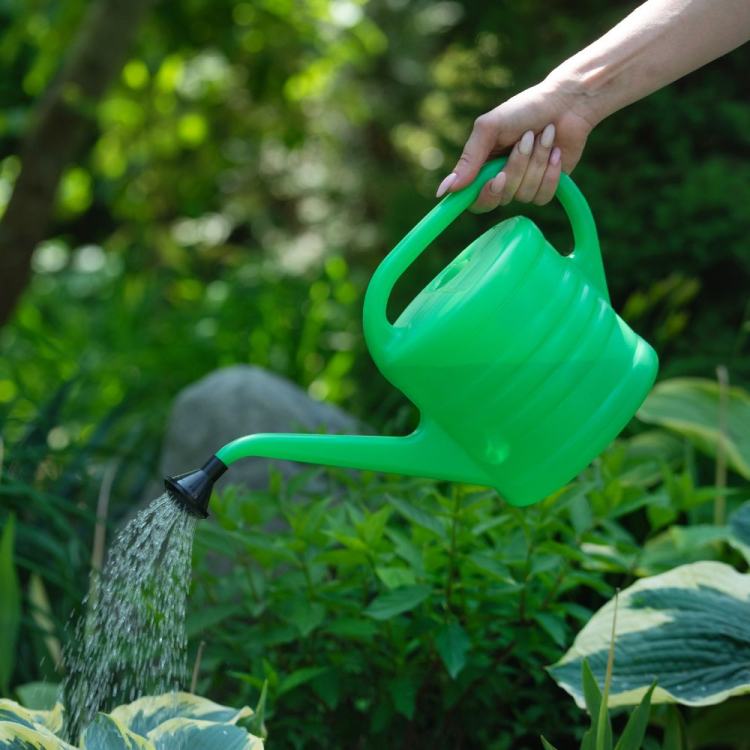 Konewka z sitkiem na wodę 2,5L